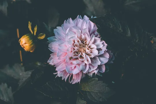 澳洲幸运8开奖 趋势分析